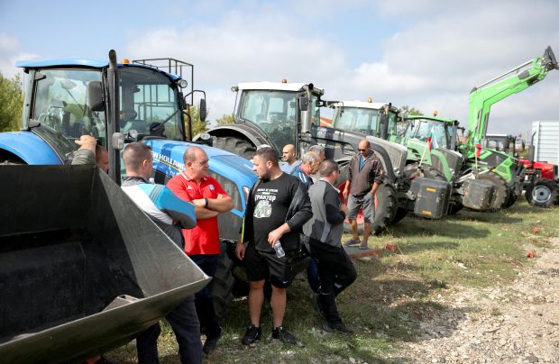 International Business: Ukraine optimistic on resolving grain bans of EU neighbours